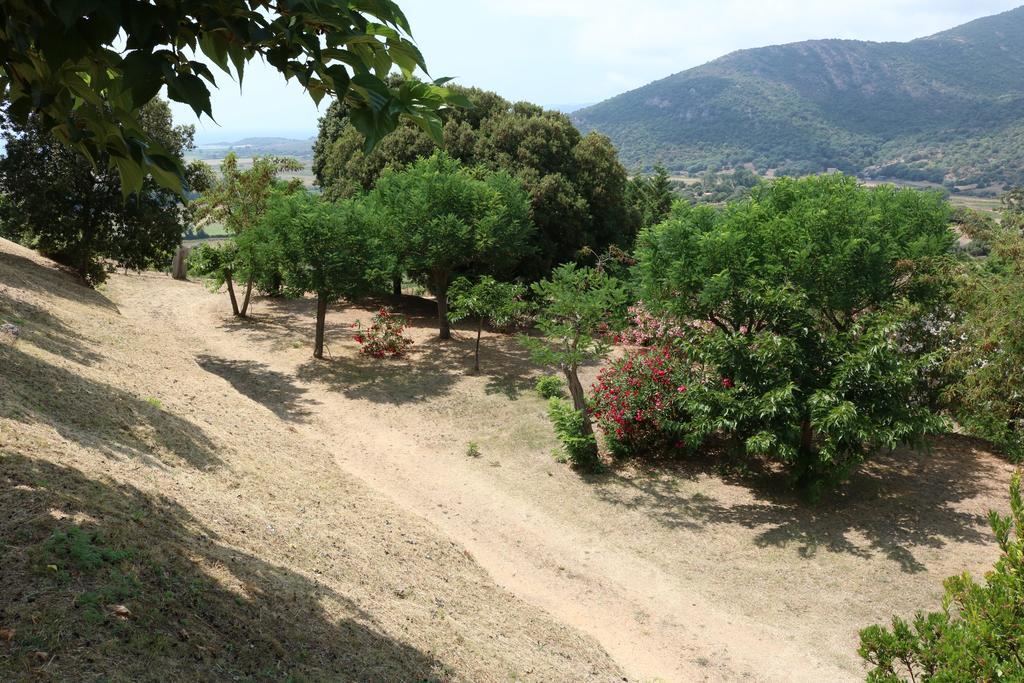 Camping Les Couchants Casaglione Dış mekan fotoğraf