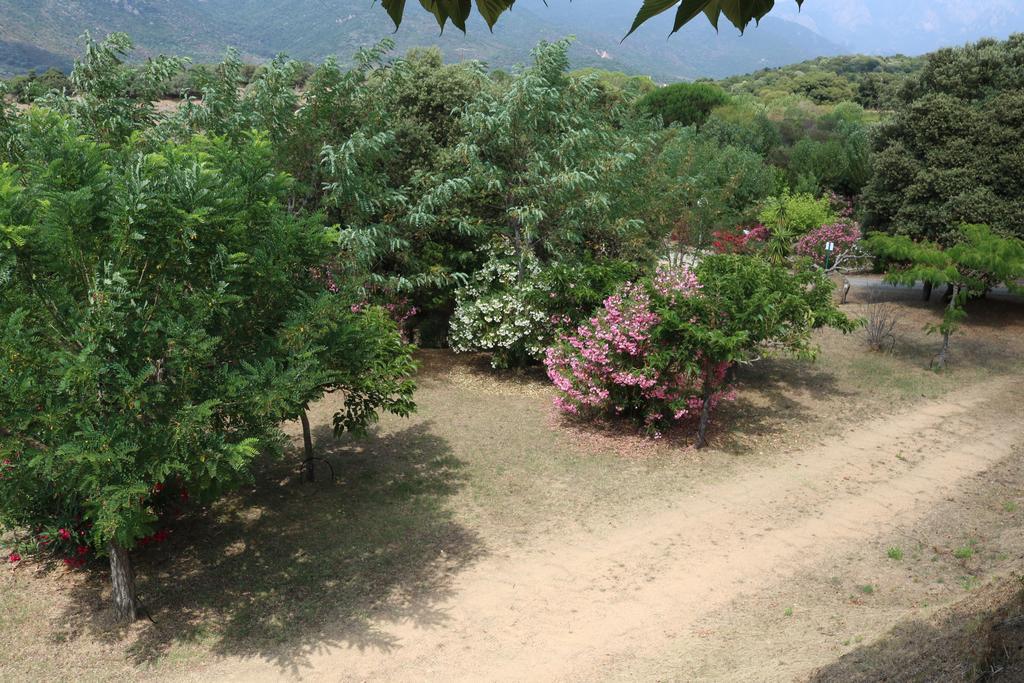 Camping Les Couchants Casaglione Dış mekan fotoğraf