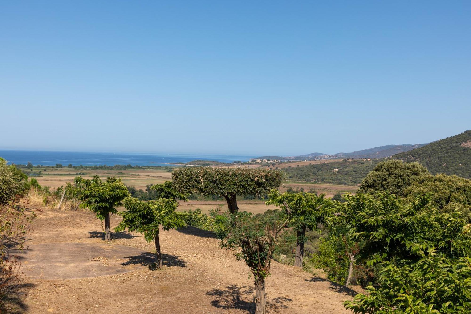 Camping Les Couchants Casaglione Dış mekan fotoğraf